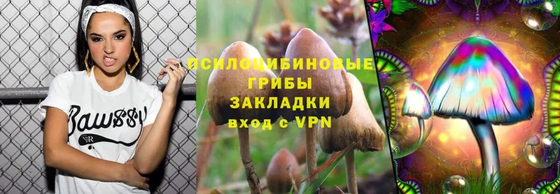 Псилоцибиновые грибы Cubensis  как найти наркотики  Долинск 